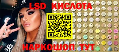 индика Ярославль