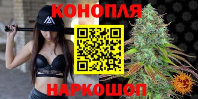 индика Ярославль