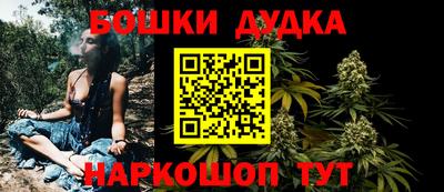 индика Ярославль