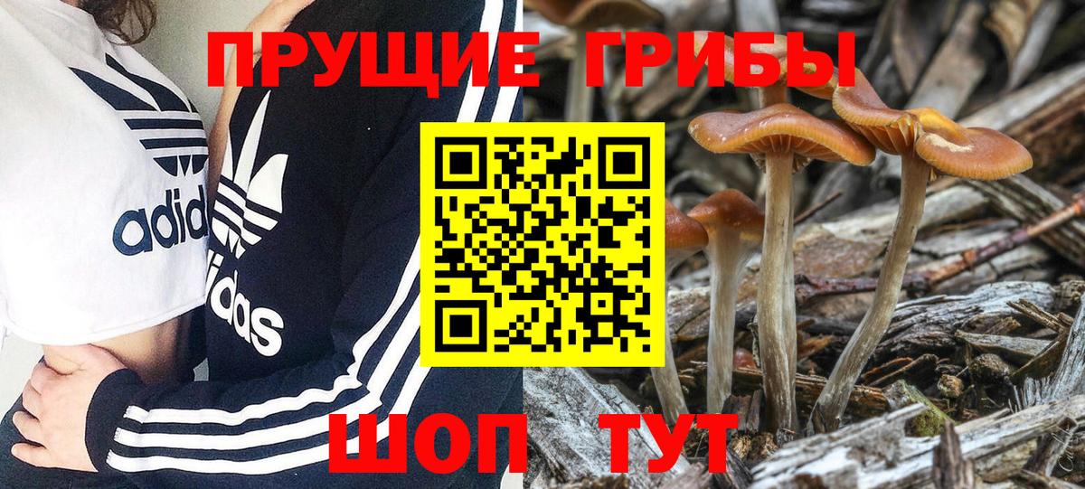 Псилоцибиновые грибы MAGIC MUSHROOMS  Вход с VPN  Батайск 