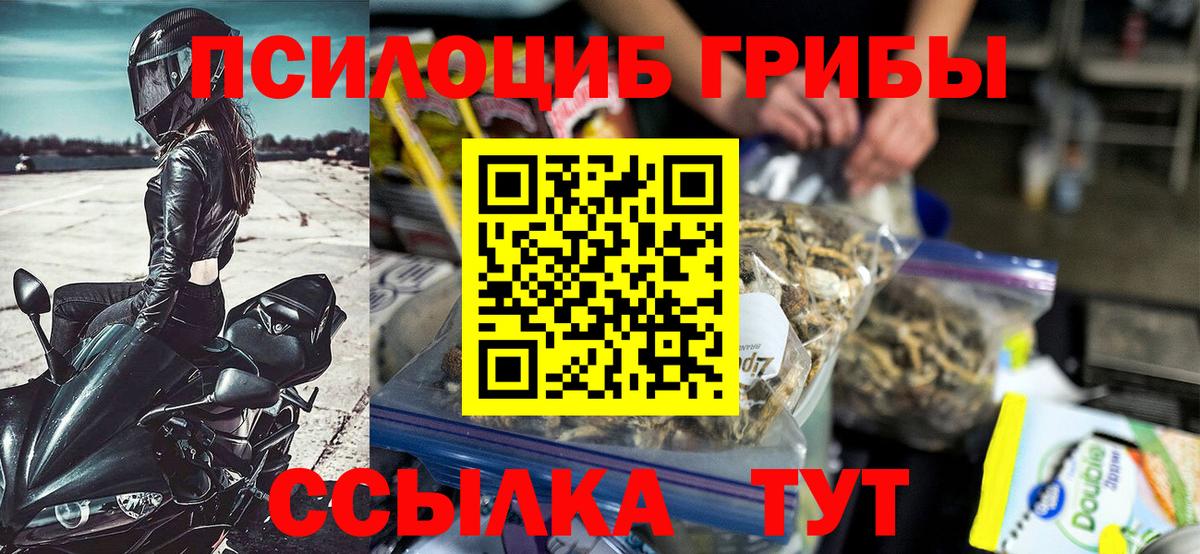 Псилоцибиновые грибы Cubensis Батайск